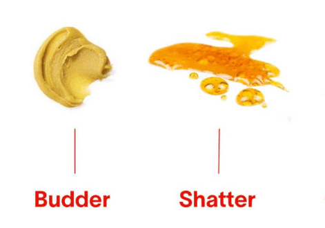 Read more about the article Shatter vs Budder: What’s the Difference