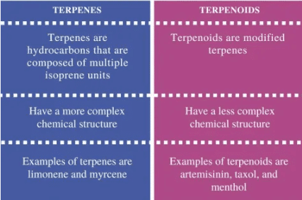 Terpenes vs Terpenoids