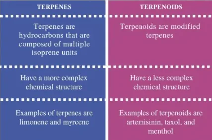 Terpenes vs Terpenoids