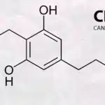 The Ultimate Guide to CBG: Benefits, Uses, and Extraction Explained