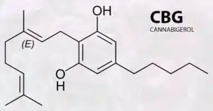 Read more about the article The Ultimate Guide to CBG: Benefits, Uses, and Extraction Explained