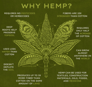 Common Misconceptions About Hemp and Cannabis
