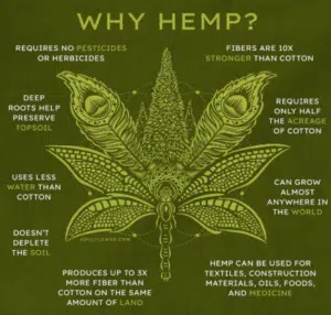 Common Misconceptions About Hemp and Cannabis
