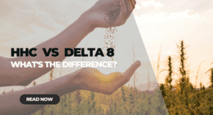 Read more about the article HHC vs Delta 8: What’s the Difference