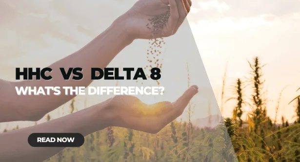 You are currently viewing HHC vs Delta 8: What’s the Difference