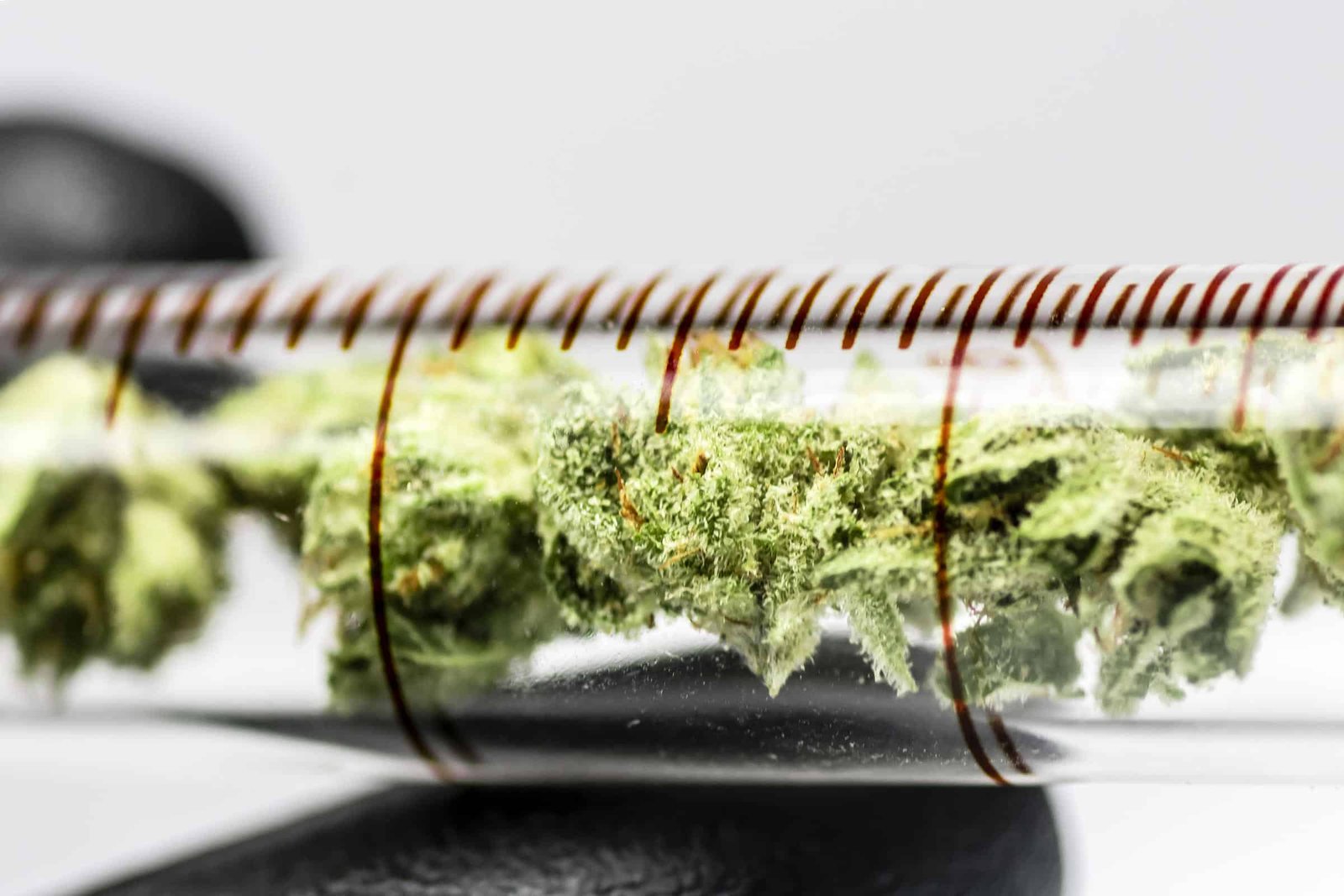 Read more about the article How to Identify High-Quality Cannabis Distillates in a Lab Setting