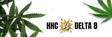 Key Differences Between HHC and Delta 8