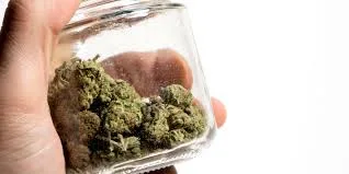 What is Delta-8 THC?