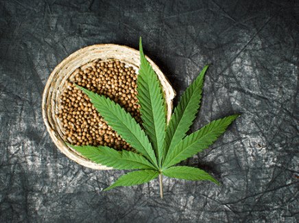 What is Hemp?