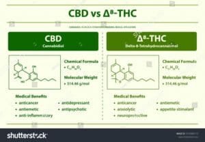 Delta 8 vs CBD