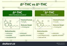 Delta-8 vs. Delta-9 THC