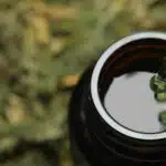 Cannabis Oil Filtration Explained: Why It Matters for Purity and Quality