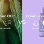 Full Spectrum vs Broad Spectrum CBD: What’s the Difference