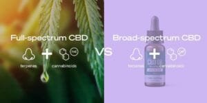 Read more about the article Full Spectrum vs Broad Spectrum CBD: What’s the Difference