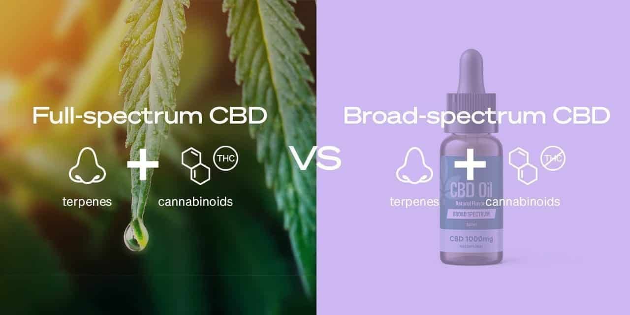 You are currently viewing Full Spectrum vs Broad Spectrum CBD: What’s the Difference