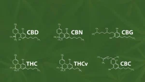 Read more about the article What Are Minor Cannabinoids? Everything You Need to Know About Their Role in Cannabis