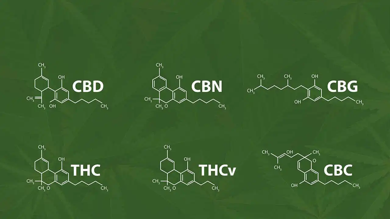 You are currently viewing What Are Minor Cannabinoids? Everything You Need to Know About Their Role in Cannabis