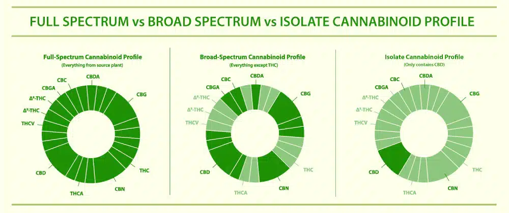 What Are the Different CBD Spectrums?