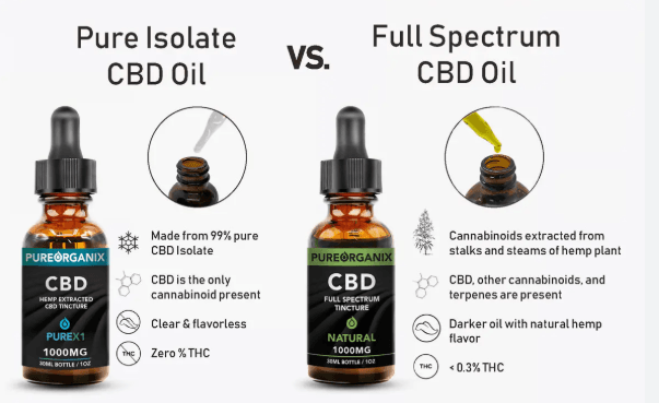 What Is Full Spectrum Cannabis Oil?