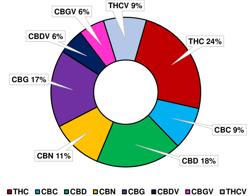 What are Minor Cannabinoids