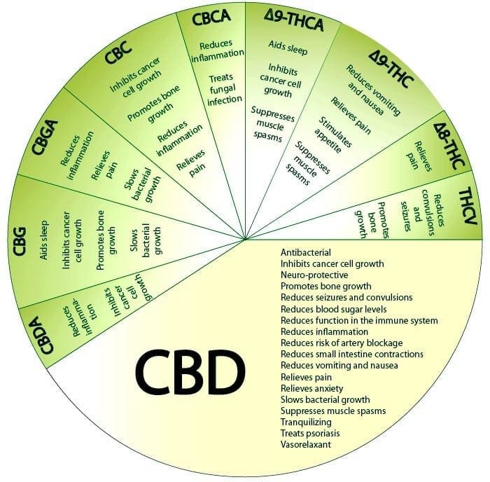 What is Full Spectrum CBD