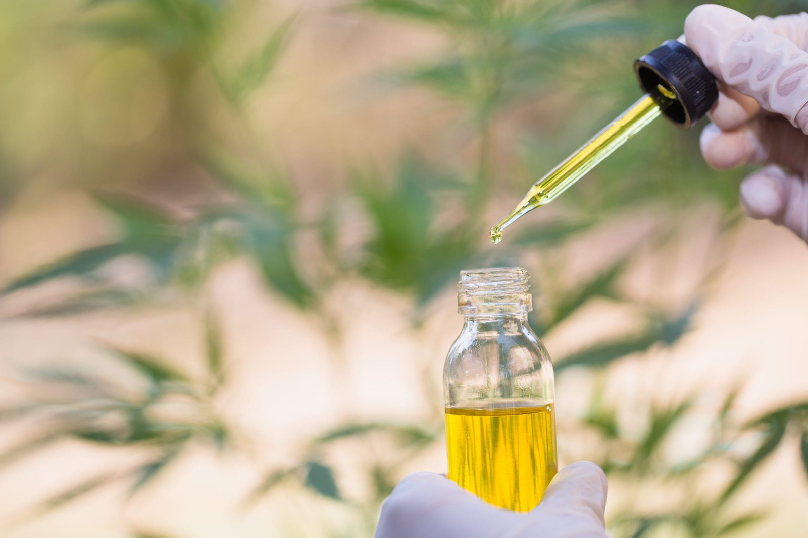 Read more about the article Winterization of Oil: A Complete Guide