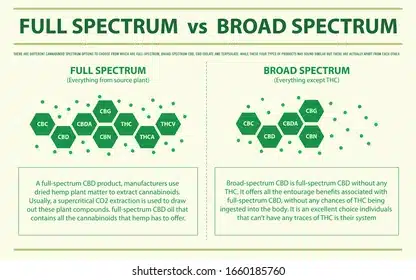 Full Spectrum vs Broad Spectrum CBD: The Key Differences