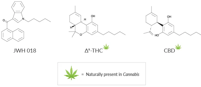 HHC vs THC vs CBD: Key Differences