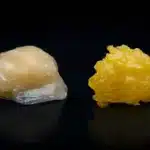 Hash Rosin vs Live Resin: What’s the Difference