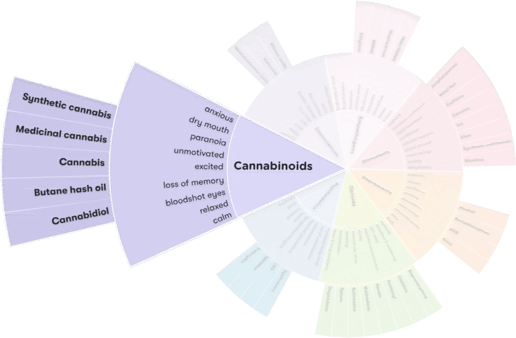 What Are Cannabinoids?