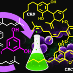 What Is the Difference Between CBD vs CBC vs CBG