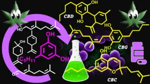 Read more about the article What Is the Difference Between CBD vs CBC vs CBG