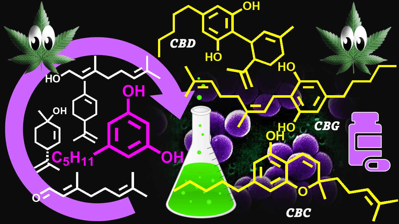 You are currently viewing What Is the Difference Between CBD vs CBC vs CBG