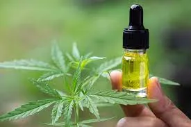 What is CBD?