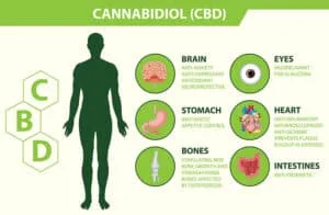 CBD Benefits