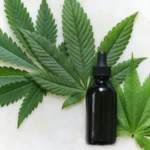 HHC vs THC vs CBD: What are the differences?