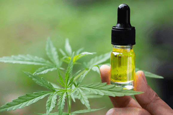 What is CBD?