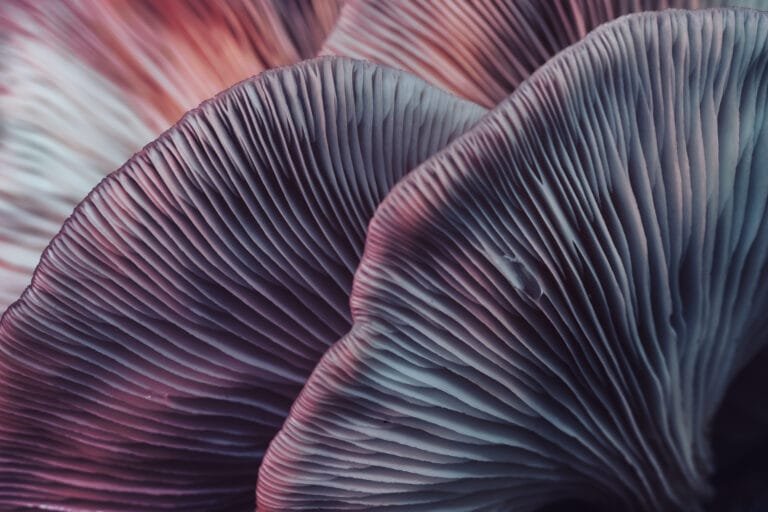 AdobeStock 295864969