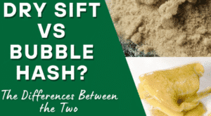 Read more about the article Dry Sift vs Bubble Hash: What’s the Difference and Which Is Better?