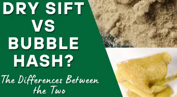 You are currently viewing Dry Sift vs Bubble Hash: What’s the Difference and Which Is Better?