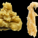 Flower Rosin vs Hash Rosin: What’s the Difference