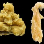 Flower Rosin vs Hash Rosin: What’s the Difference