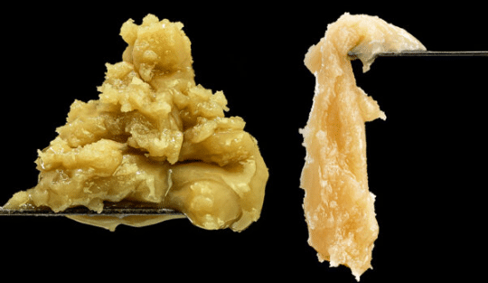 Read more about the article Flower Rosin vs Hash Rosin: What’s the Difference
