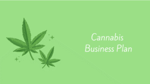 Read more about the article The Ultimate Guide to Writing a Cannabis Business Plan