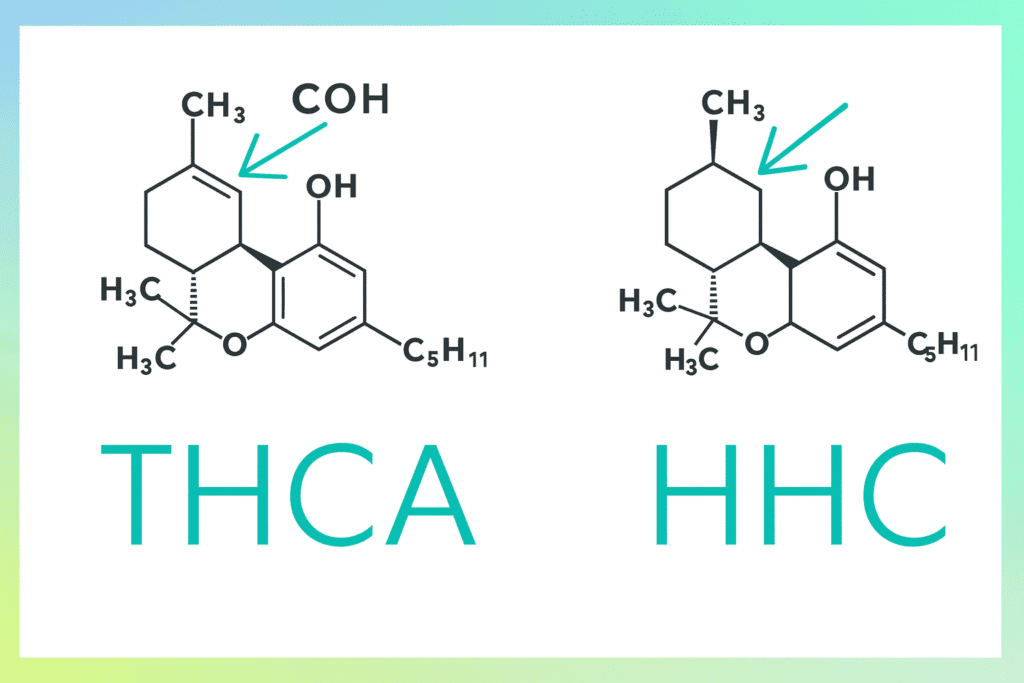 HHC vs THCA: What's the Difference