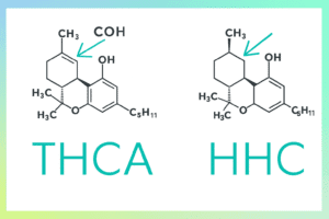 Read more about the article HHC vs THCA