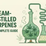 Steam-Distilled Terpenes: A Complete Guide