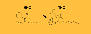 THCA vs HHC