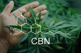 What Is CBN?