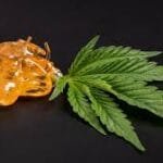 What Is Budder? A Complete Guide to Budder Wax, Concentrates & How to Use Them